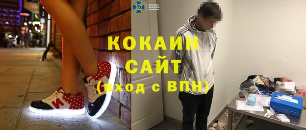 прущие грибы Сафоново
