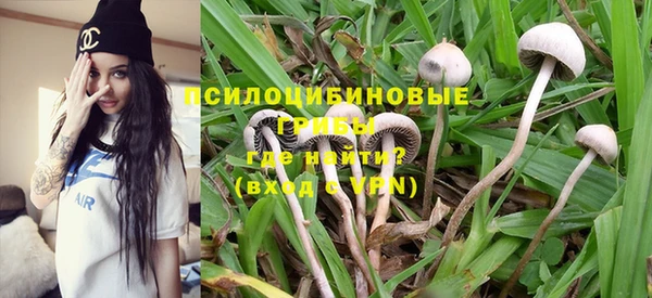 прущие грибы Сафоново