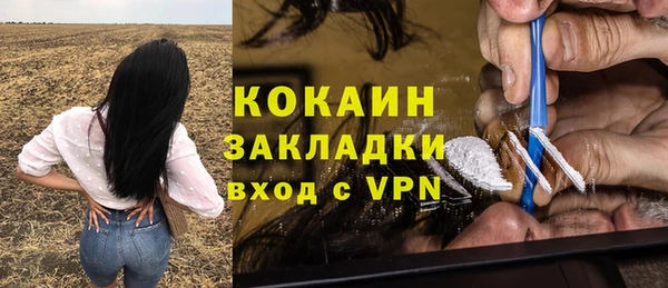 прущие грибы Сафоново
