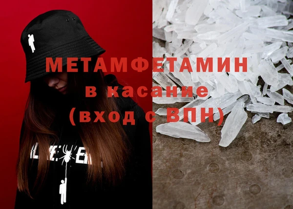 прущие грибы Сафоново