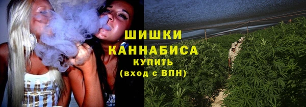 прущие грибы Сафоново