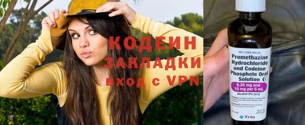 прущие грибы Сафоново
