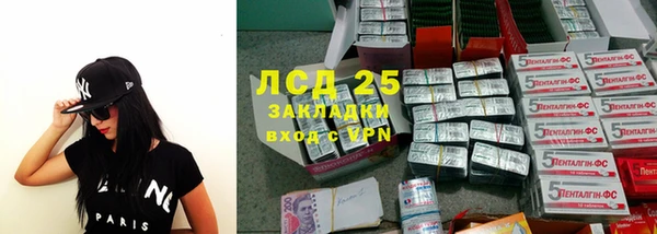 прущие грибы Сафоново